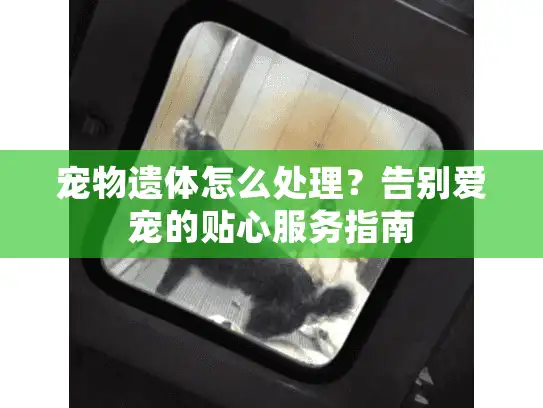 宠物遗体怎么处理？告别爱宠的贴心服务指南