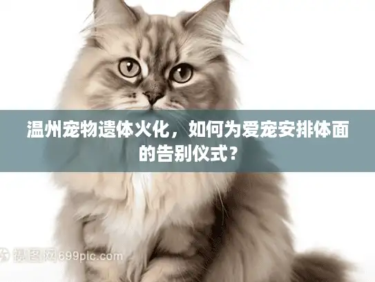温州宠物遗体火化，如何为爱宠安排体面的告别仪式？
