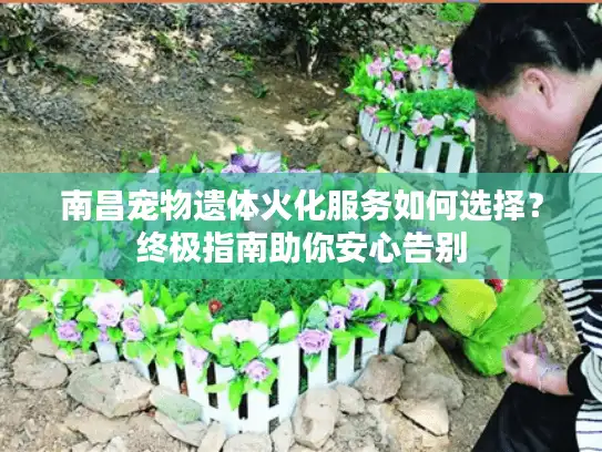 南昌宠物遗体火化服务如何选择？终极指南助你安心告别