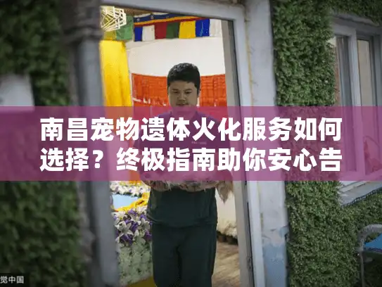 南昌宠物遗体火化服务如何选择？终极指南助你安心告别
