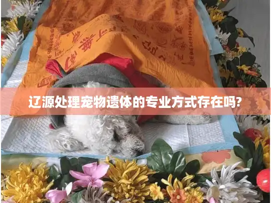 辽源处理宠物遗体的专业方式存在吗?