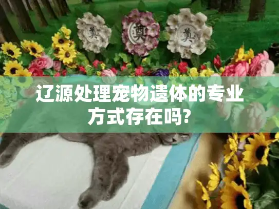 辽源处理宠物遗体的专业方式存在吗?