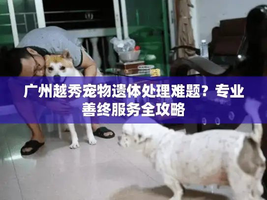 广州越秀宠物遗体处理难题？专业善终服务全攻略