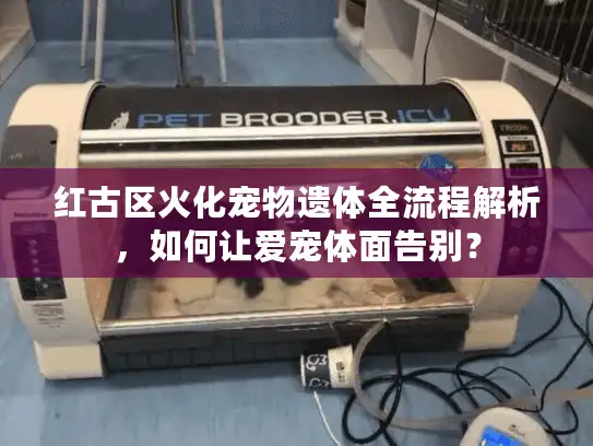 红古区火化宠物遗体全流程解析，如何让爱宠体面告别？