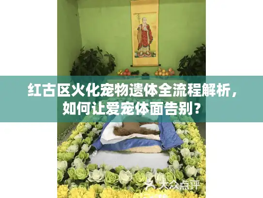 红古区火化宠物遗体全流程解析，如何让爱宠体面告别？