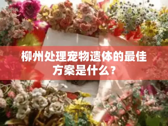 柳州处理宠物遗体的最佳方案是什么？