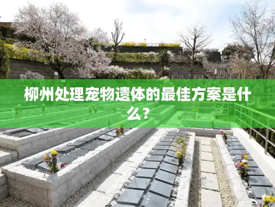 柳州处理宠物遗体的最佳方案是什么？