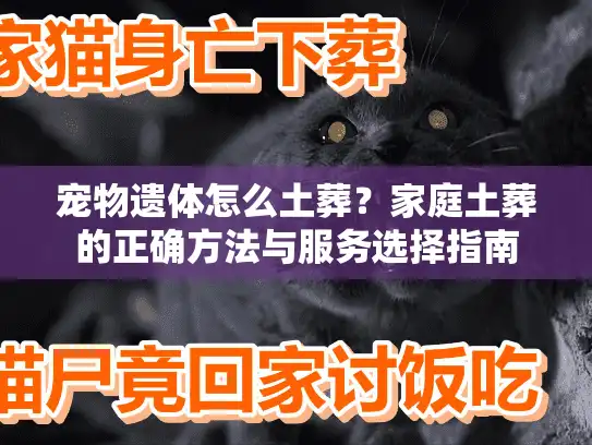 宠物遗体怎么土葬？家庭土葬的正确方法与服务选择指南