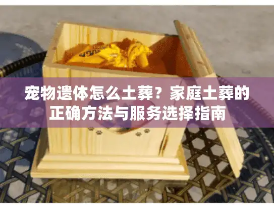 宠物遗体怎么土葬？家庭土葬的正确方法与服务选择指南