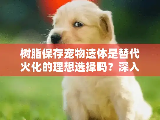 树脂保存宠物遗体是替代火化的理想选择吗？深入解读这种纪念方式