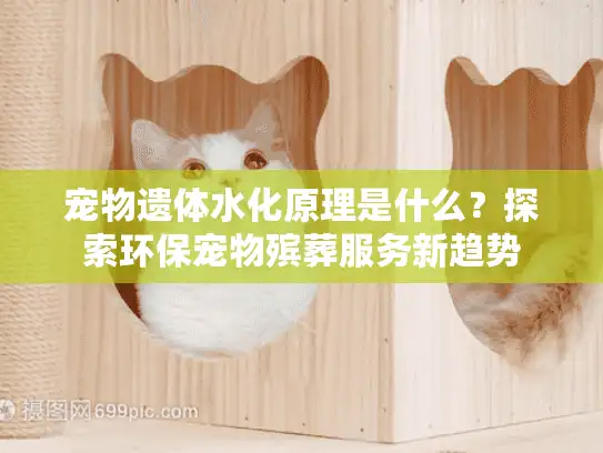 宠物遗体水化原理是什么？探索环保宠物殡葬服务新趋势
