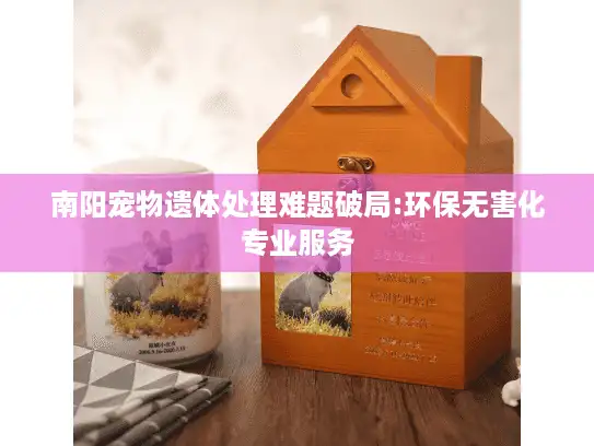 南阳宠物遗体处理难题破局:环保无害化专业服务