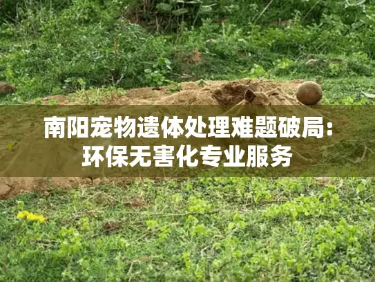 南阳宠物遗体处理难题破局:环保无害化专业服务