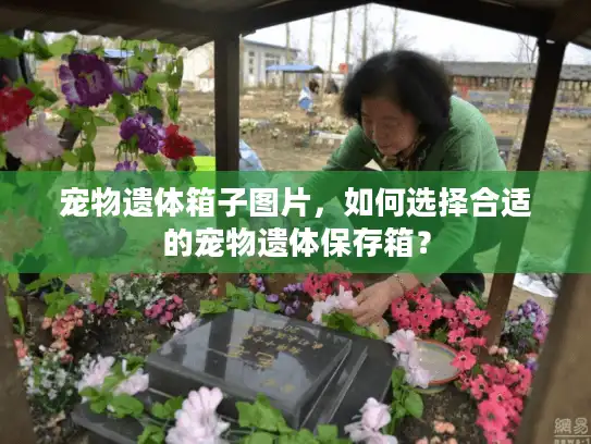 宠物遗体箱子图片，如何选择合适的宠物遗体保存箱？