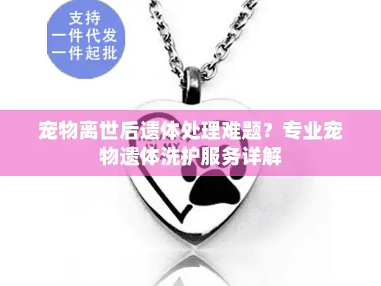 宠物离世后遗体处理难题？专业宠物遗体洗护服务详解