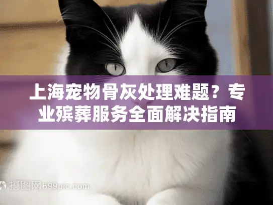 上海宠物骨灰处理难题？专业殡葬服务全面解决指南