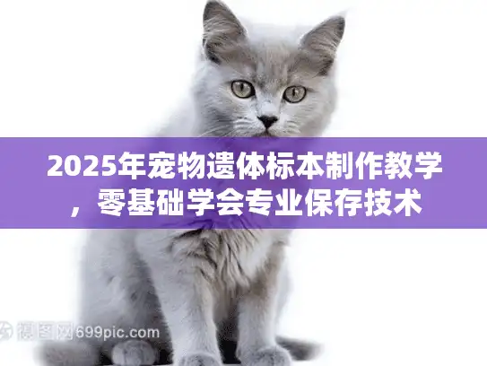 2025年宠物遗体标本制作教学，零基础学会专业保存技术
