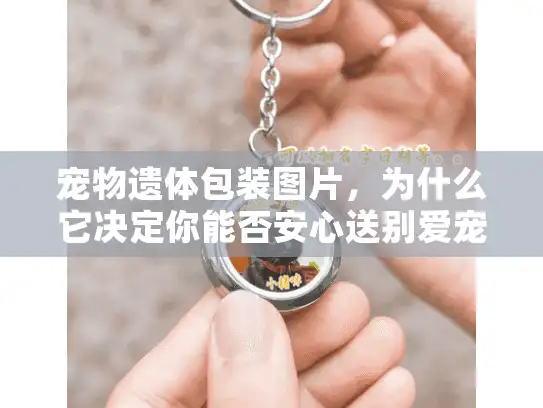 宠物遗体包装图片，为什么它决定你能否安心送别爱宠？