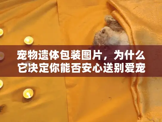 宠物遗体包装图片，为什么它决定你能否安心送别爱宠？