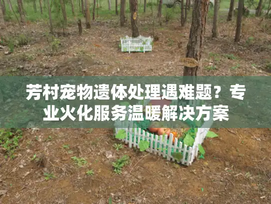 芳村宠物遗体处理遇难题？专业火化服务温暖解决方案