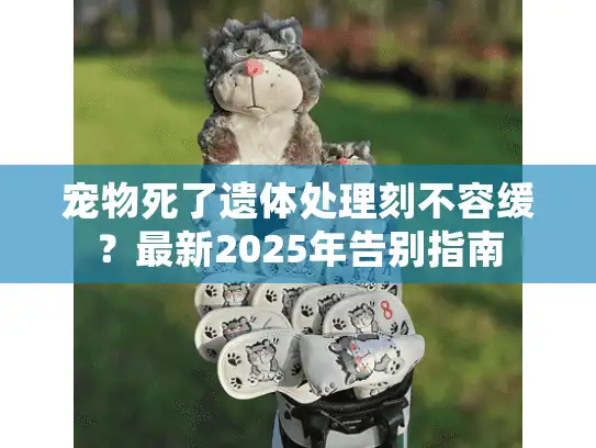 宠物死了遗体处理刻不容缓？最新2025年告别指南