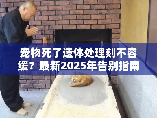 宠物死了遗体处理刻不容缓？最新2025年告别指南