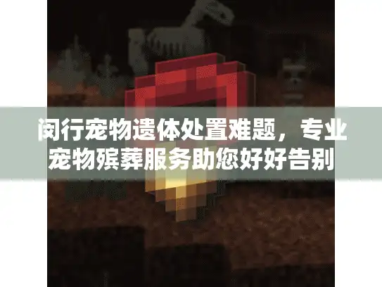 闵行宠物遗体处置难题，专业宠物殡葬服务助您好好告别