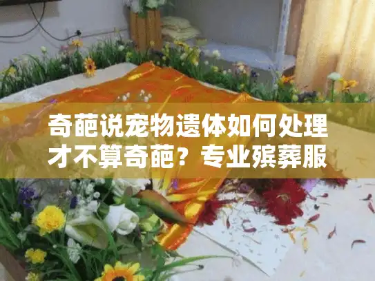 奇葩说宠物遗体如何处理才不算奇葩？专业殡葬服务指南
