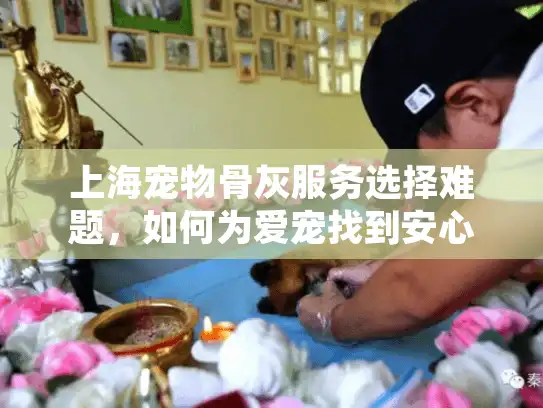 上海宠物骨灰服务选择难题，如何为爱宠找到安心归宿？