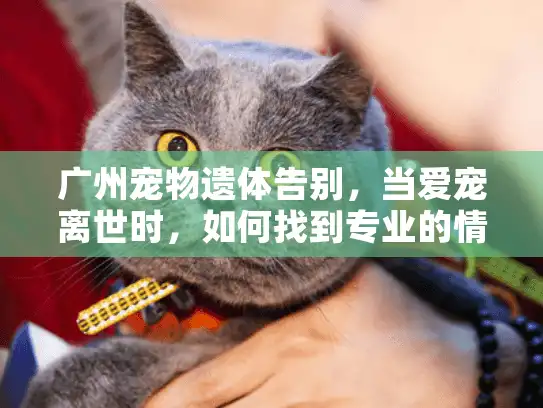 广州宠物遗体告别，当爱宠离世时，如何找到专业的情感告别服务？