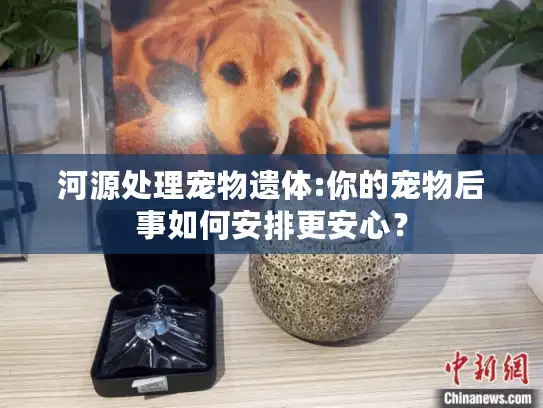 河源处理宠物遗体:你的宠物后事如何安排更安心？