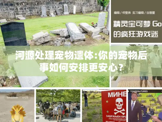 河源处理宠物遗体:你的宠物后事如何安排更安心？