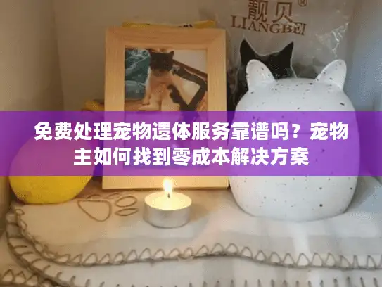 免费处理宠物遗体服务靠谱吗？宠物主如何找到零成本解决方案