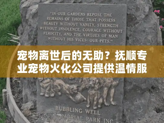 宠物离世后的无助？抚顺专业宠物火化公司提供温情服务