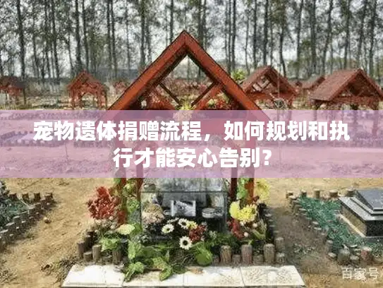 宠物遗体捐赠流程，如何规划和执行才能安心告别？