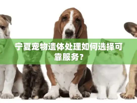 宁夏宠物遗体处理如何选择可靠服务？