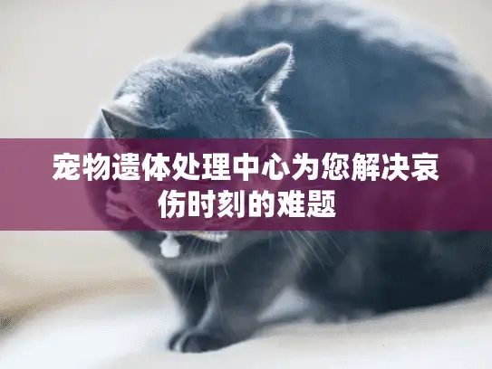 宠物遗体处理中心为您解决哀伤时刻的难题