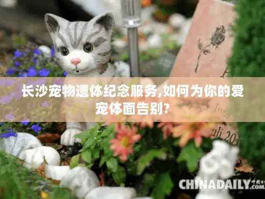 长沙宠物遗体纪念服务,如何为你的爱宠体面告别?