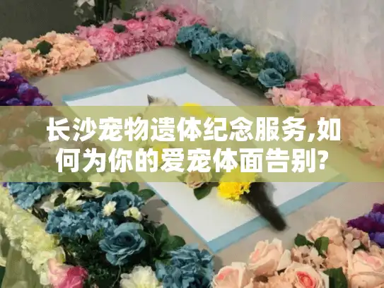 长沙宠物遗体纪念服务,如何为你的爱宠体面告别?