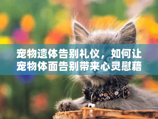 宠物遗体告别礼仪，如何让宠物体面告别带来心灵慰藉？