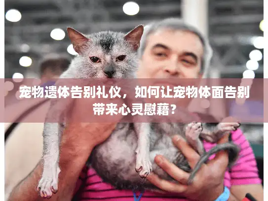 宠物遗体告别礼仪，如何让宠物体面告别带来心灵慰藉？