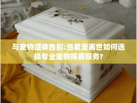 与宠物遗体告别:当爱宠离世如何选择专业宠物殡葬服务?