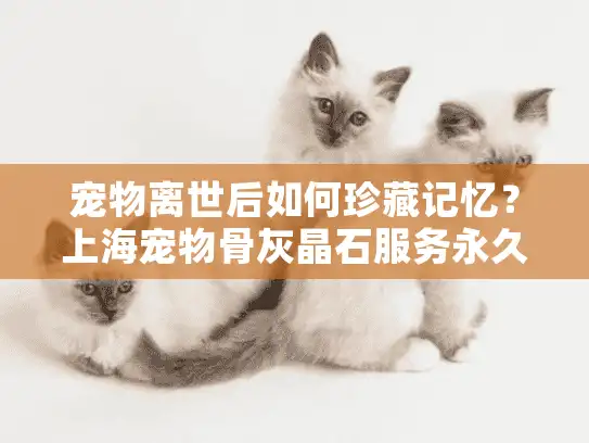 宠物离世后如何珍藏记忆？上海宠物骨灰晶石服务永久纪念解析