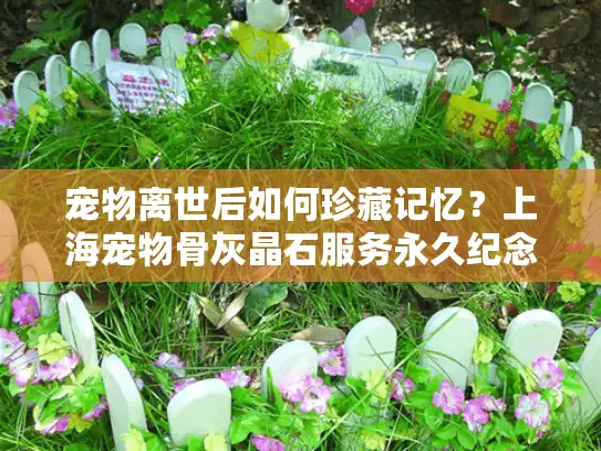 宠物离世后如何珍藏记忆？上海宠物骨灰晶石服务永久纪念解析