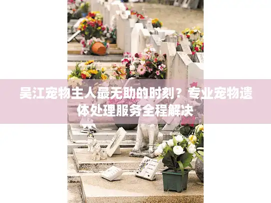 吴江宠物主人最无助的时刻？专业宠物遗体处理服务全程解决