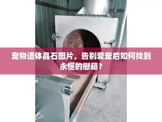 宠物遗体晶石图片，告别爱宠后如何找到永恒的慰藉？
