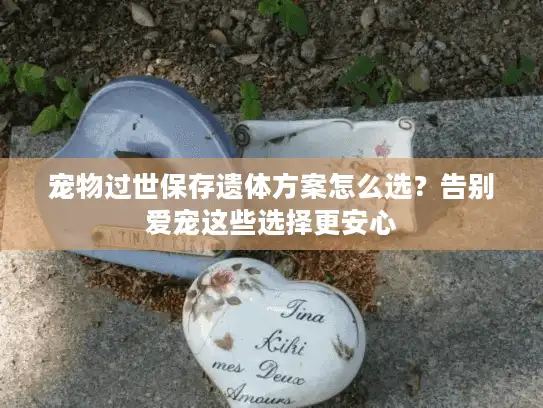 宠物过世保存遗体方案怎么选？告别爱宠这些选择更安心