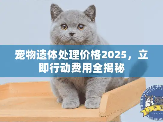 宠物遗体处理价格2025，立即行动费用全揭秘
