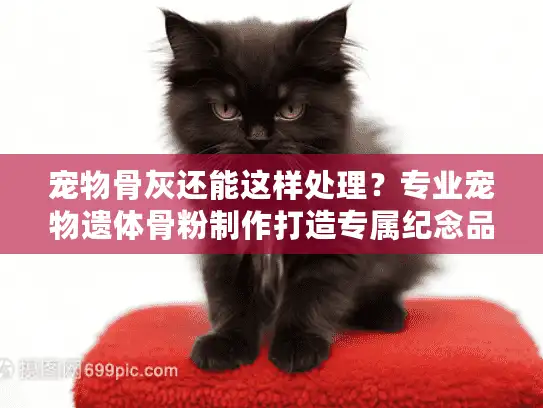 宠物骨灰还能这样处理？专业宠物遗体骨粉制作打造专属纪念品