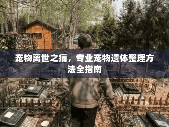 宠物离世之痛，专业宠物遗体整理方法全指南
